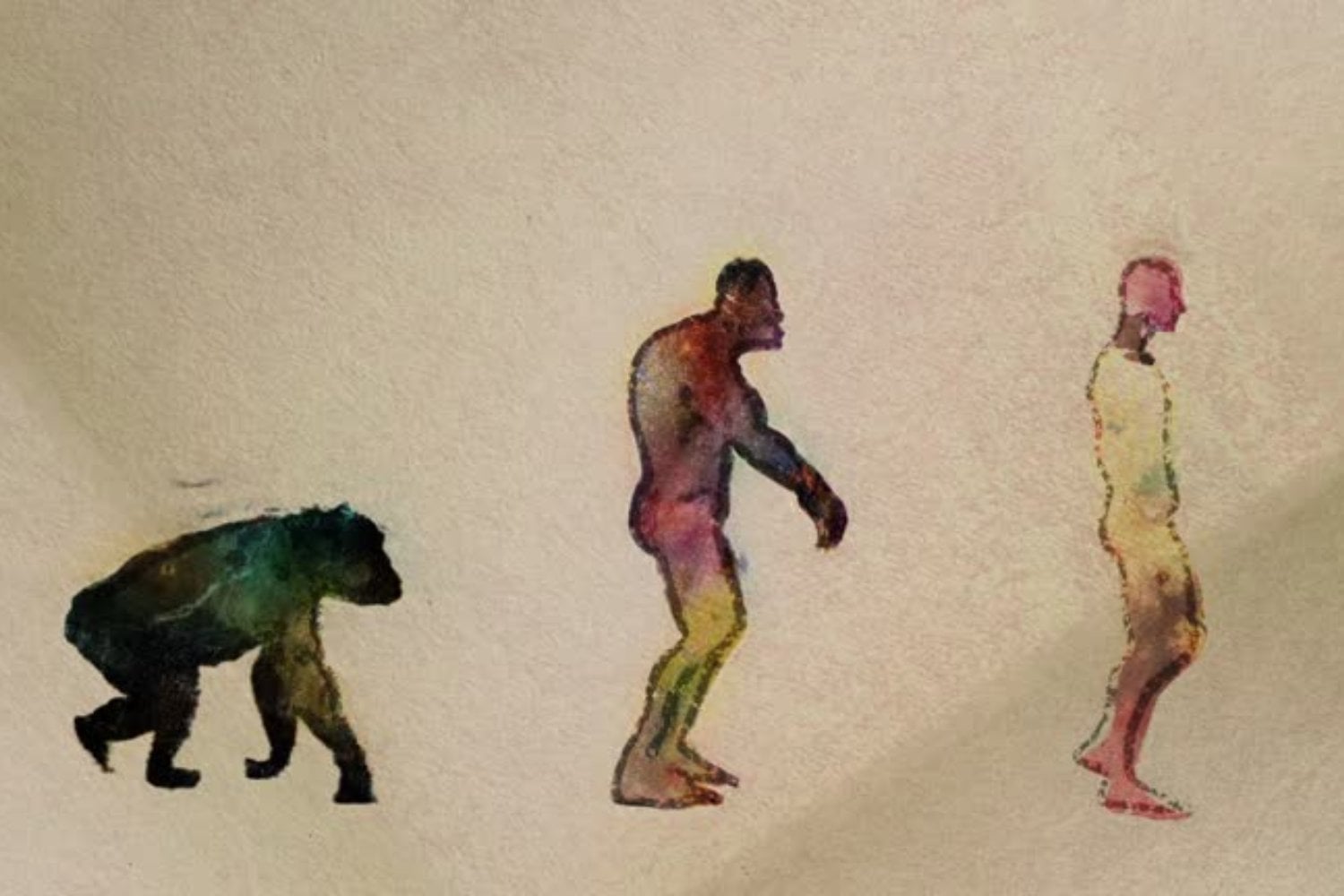 La sorprendente mutación genética que explica por qué los humanos no tenemos cola