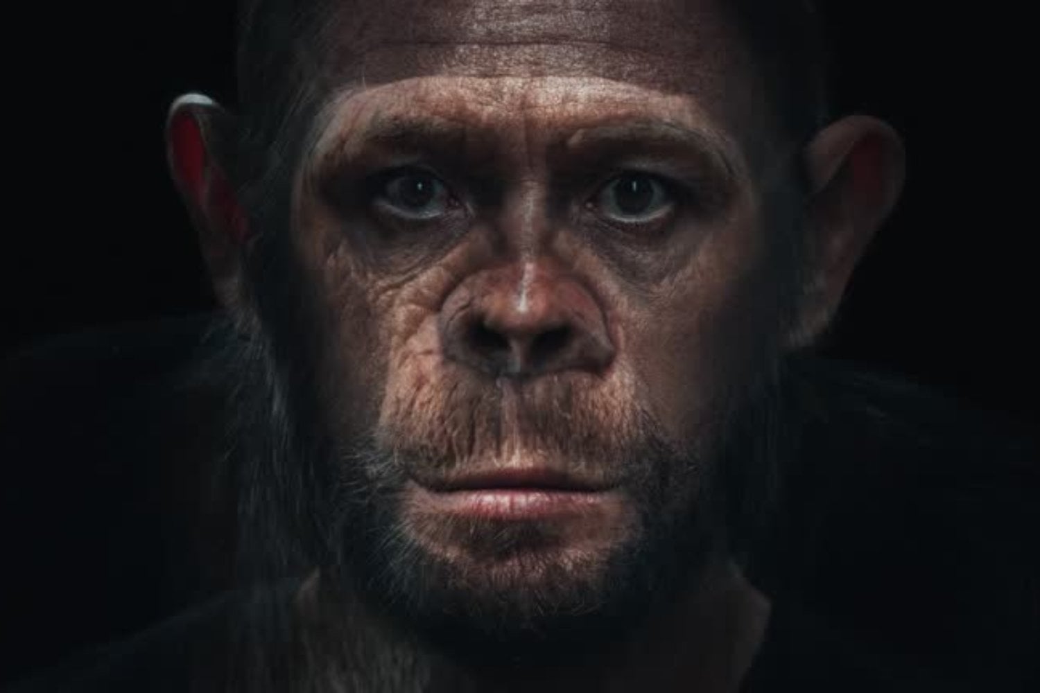 La sorprendente mutación genética que explica por qué los humanos no tenemos cola