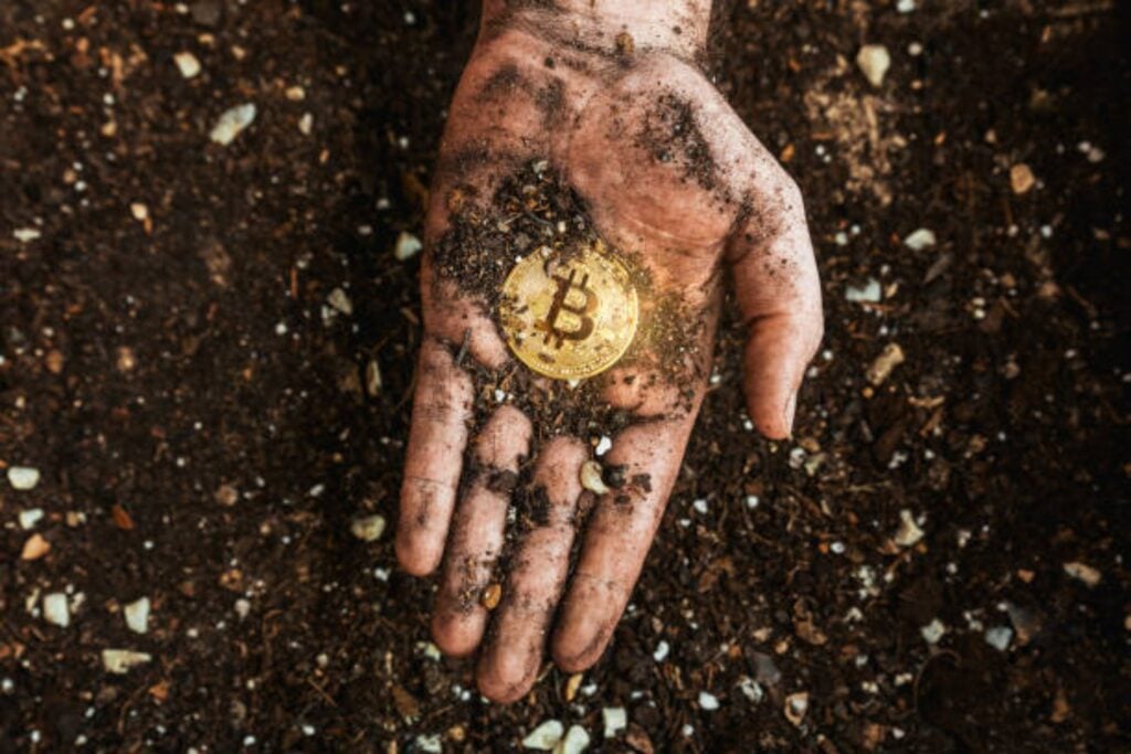 ¿Cuál es el país de América Latina con el mejor futuro para la minería de Bitcoin en 2025?