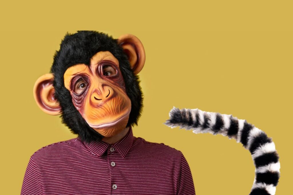 La sorprendente mutación genética que explica por qué los humanos no tenemos cola