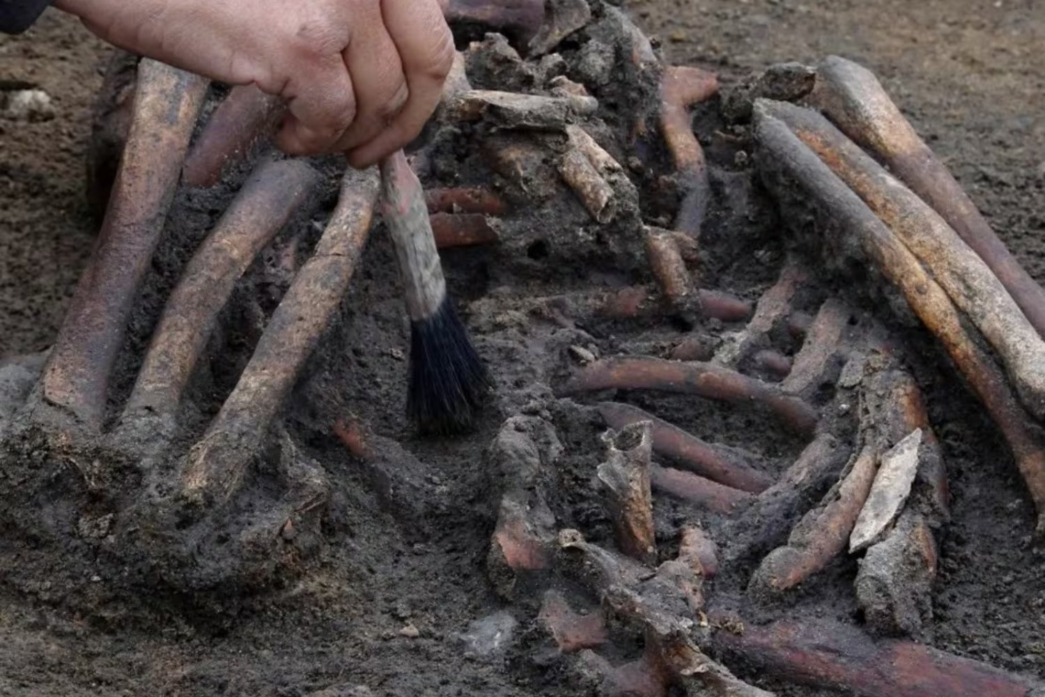 Cementerio vikingo de 1.054 años sorprende a los científicos con sus secretos
