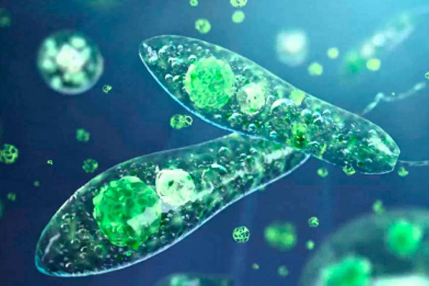 Ni agua ni ADN: revelan el elemento clave que dio origen a la vida