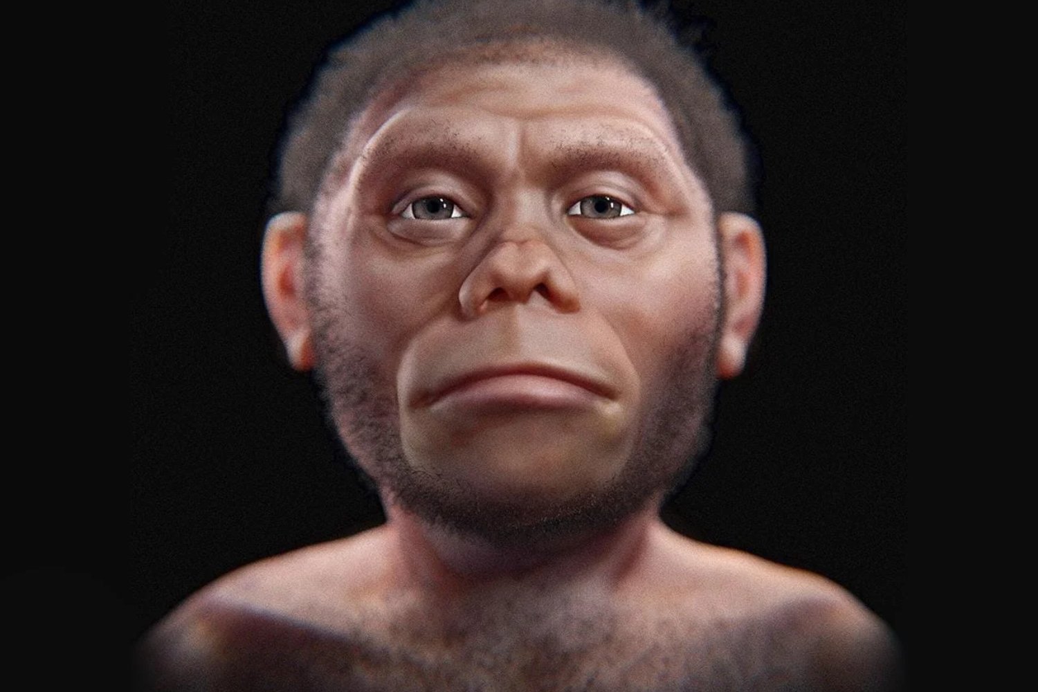 Una especie humana olvidada que desafía lo que creíamos saber