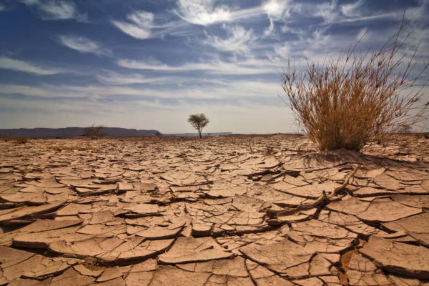 Una amenaza silenciosa: el fenómeno climático que altera paisajes y vidas humanas