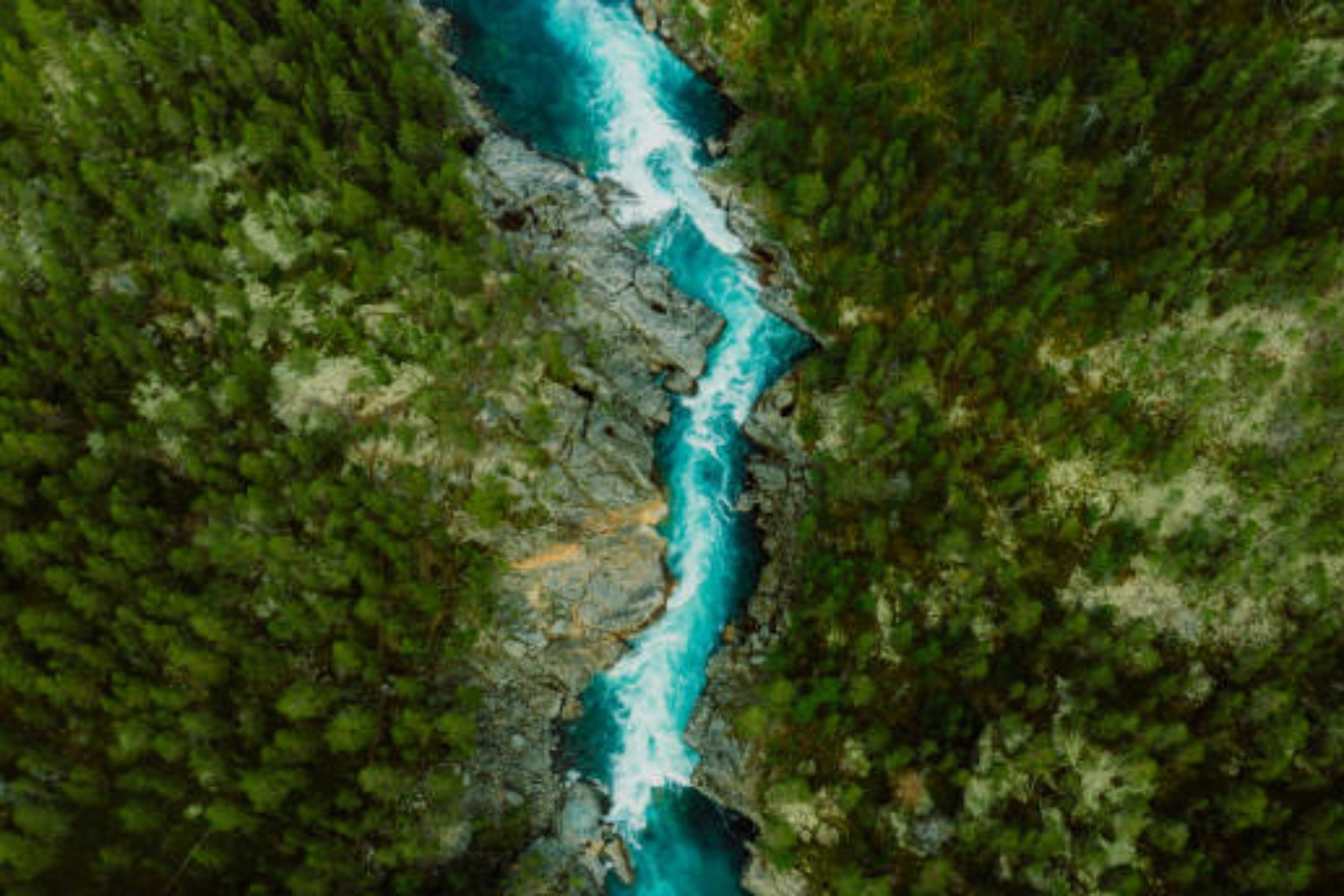Hidrógeno dorado: Un recurso oculto bajo Estados Unidos podría transformar la economía mundial