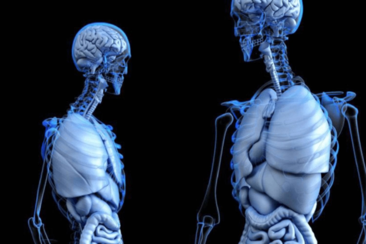 ¿Cómo cambiará la humanidad en 50.000 años? Las claves de la ciencia