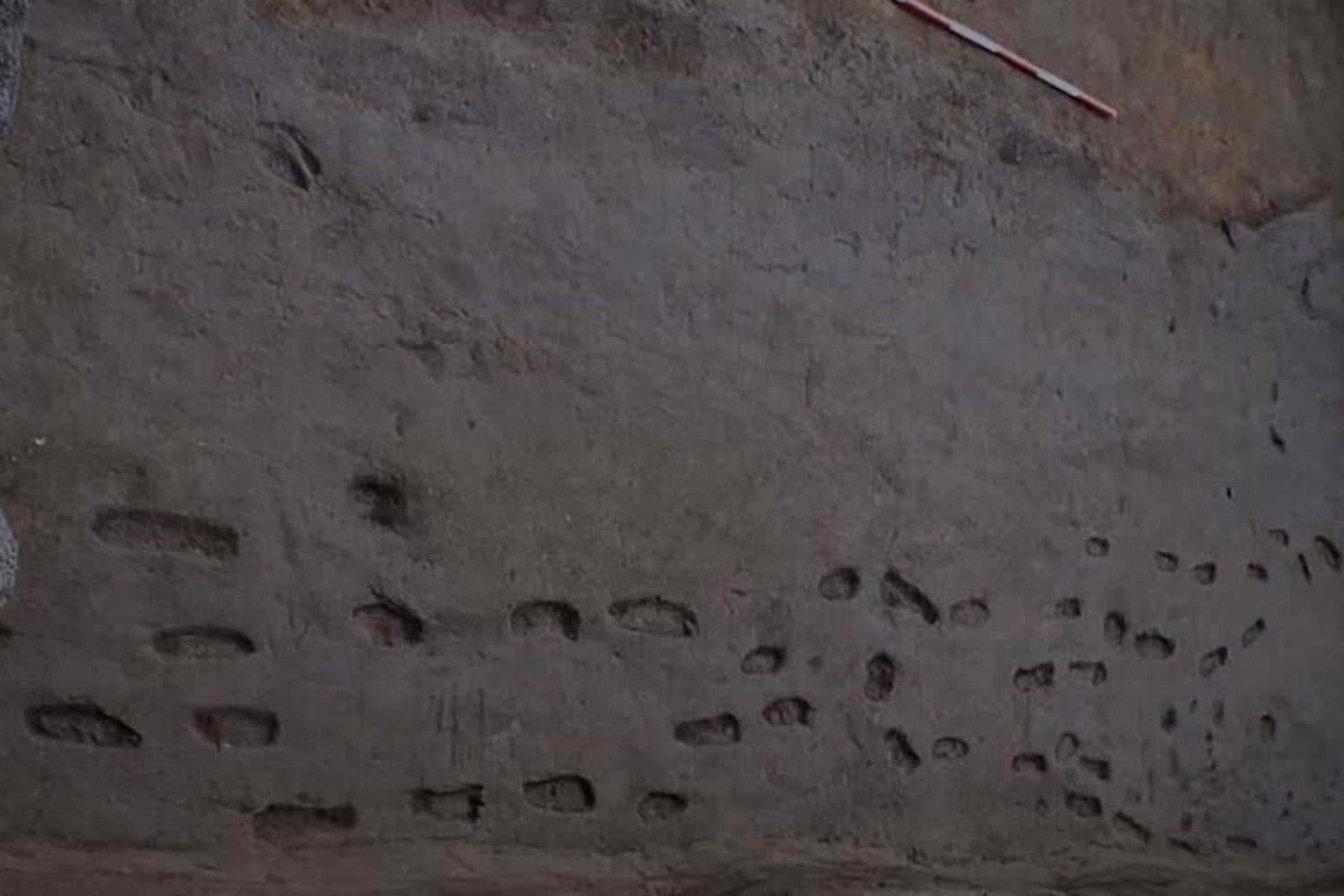 Huellas humanas y animales revelan secretos milenarios ocultos bajo el Vesubio