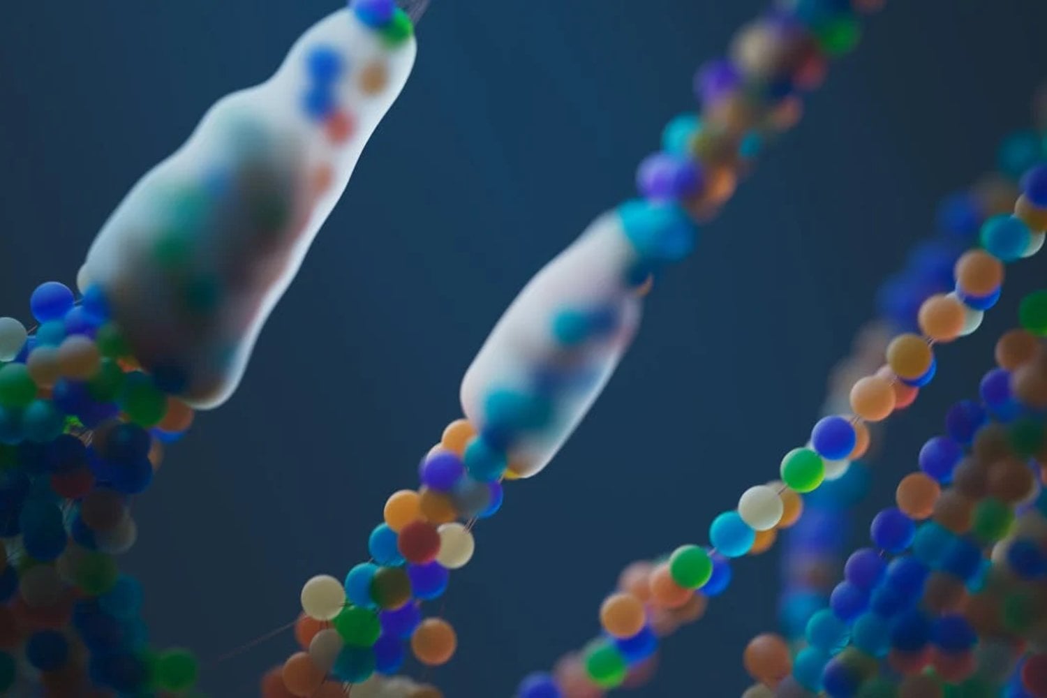 ¿Cómo cambiará la humanidad en 50.000 años? Las claves de la ciencia