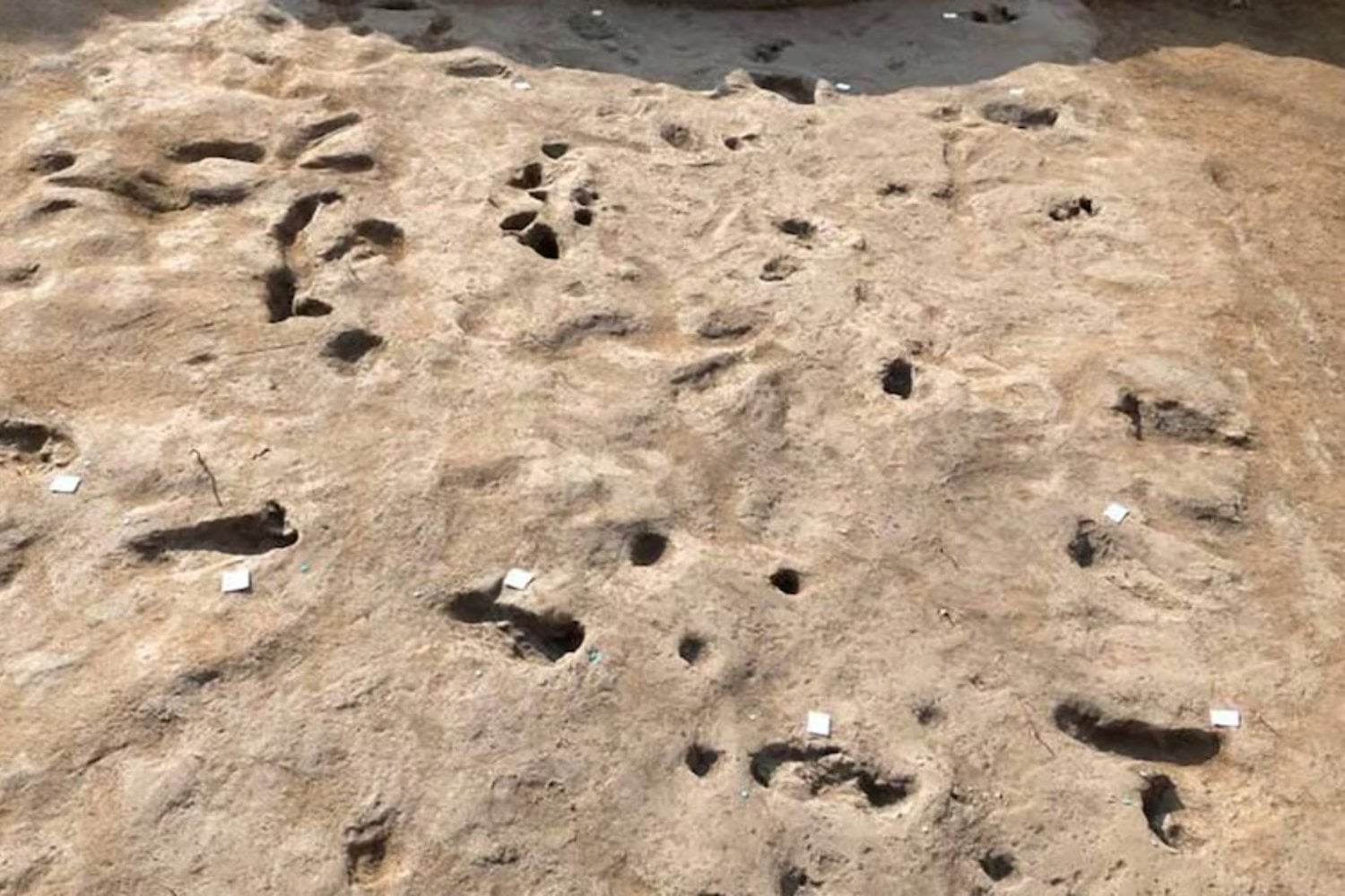 Huellas humanas y animales revelan secretos milenarios ocultos bajo el Vesubio