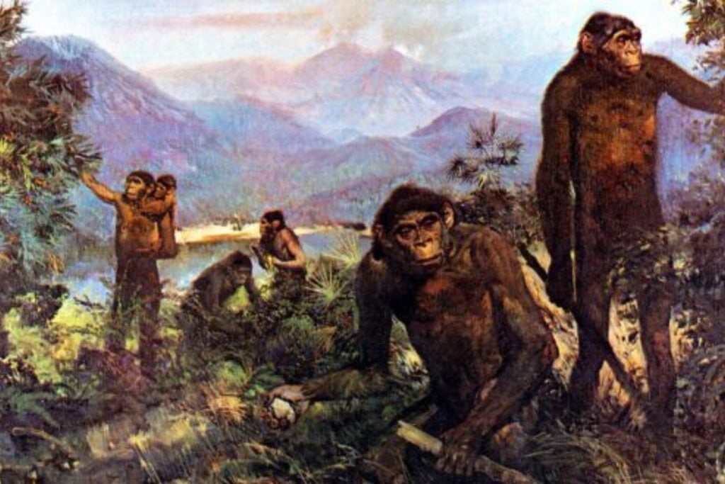 Un descubrimiento que redefine la historia: ¿tecnología avanzada hace 900.000 años?