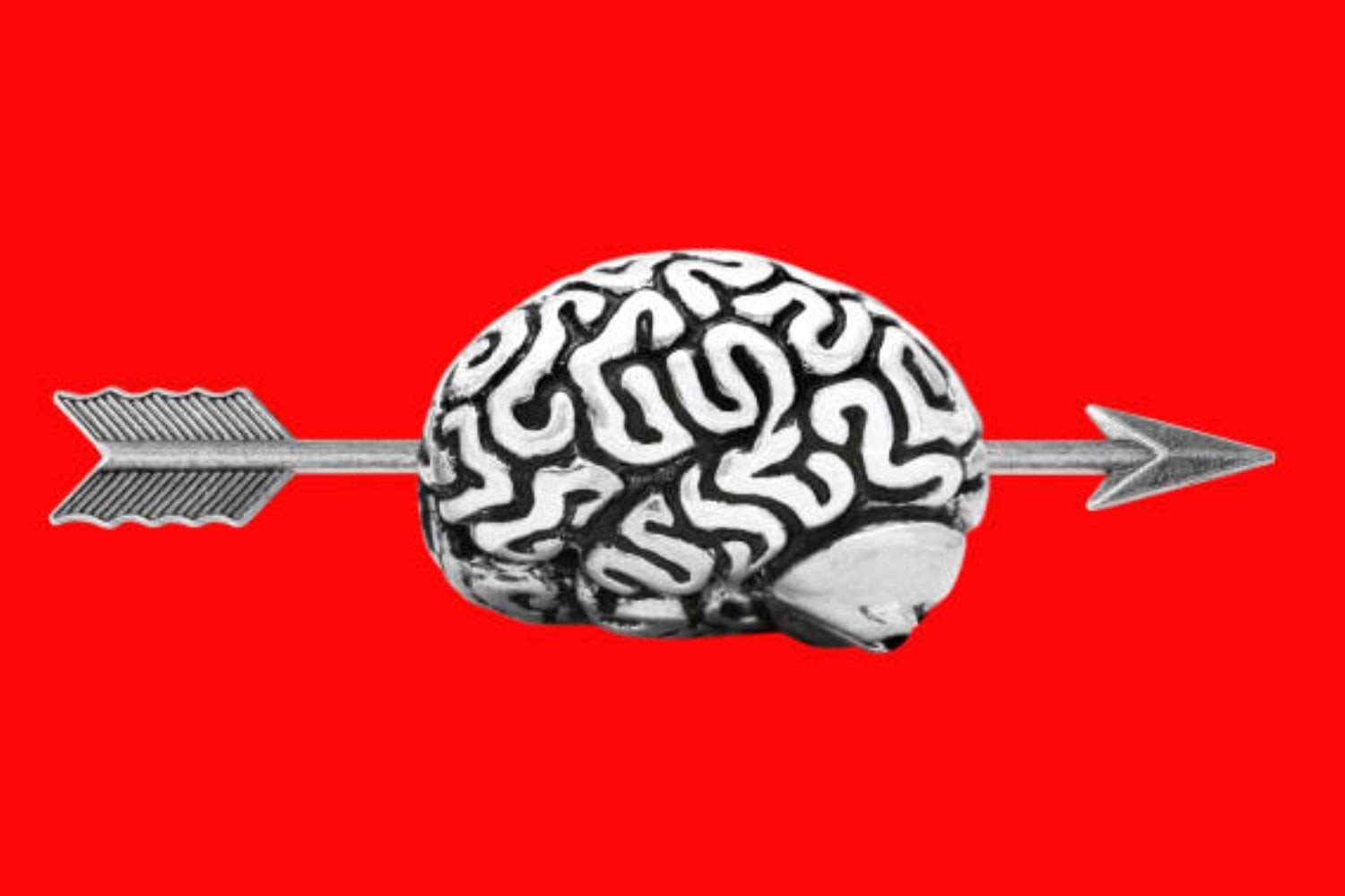 ¿Por qué el cerebro humano procesa información tan lentamente?