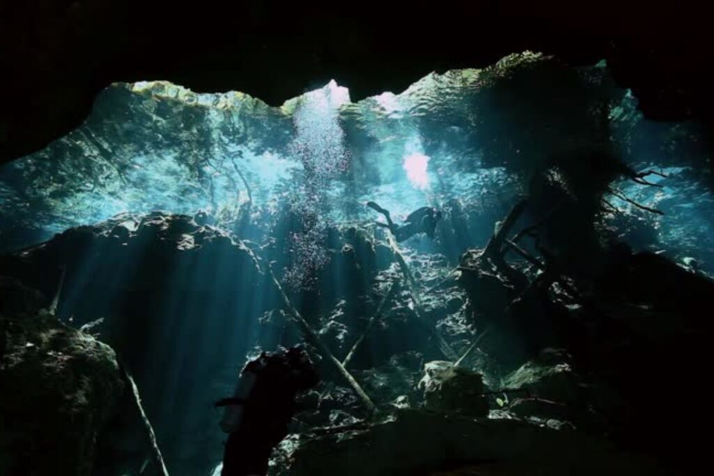 El misterioso fósil que revela el secreto de los moluscos: 514 millones de años bajo el mar