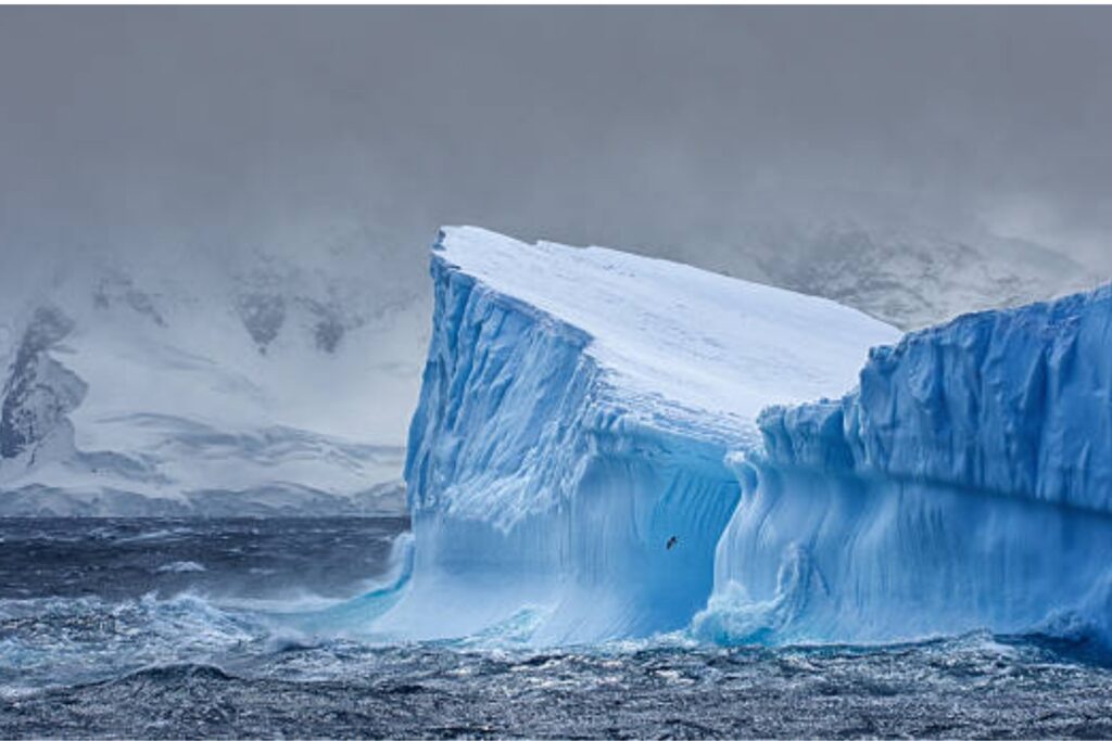 Un iceberg gigante amenaza a millones de pingüinos en la isla Georgia del Sur