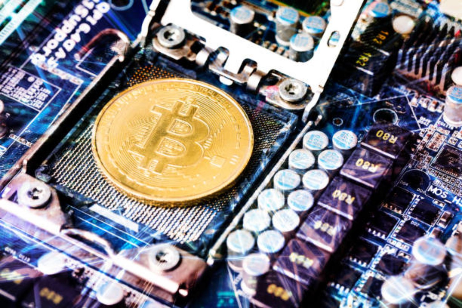 ¿El fin de una fortuna perdida? La historia del ingeniero que buscó millones en bitcoins en un basural