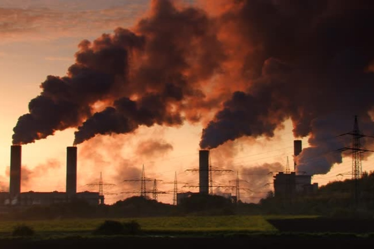 Una amenaza silenciosa: el fenómeno climático que altera paisajes y vidas humanas