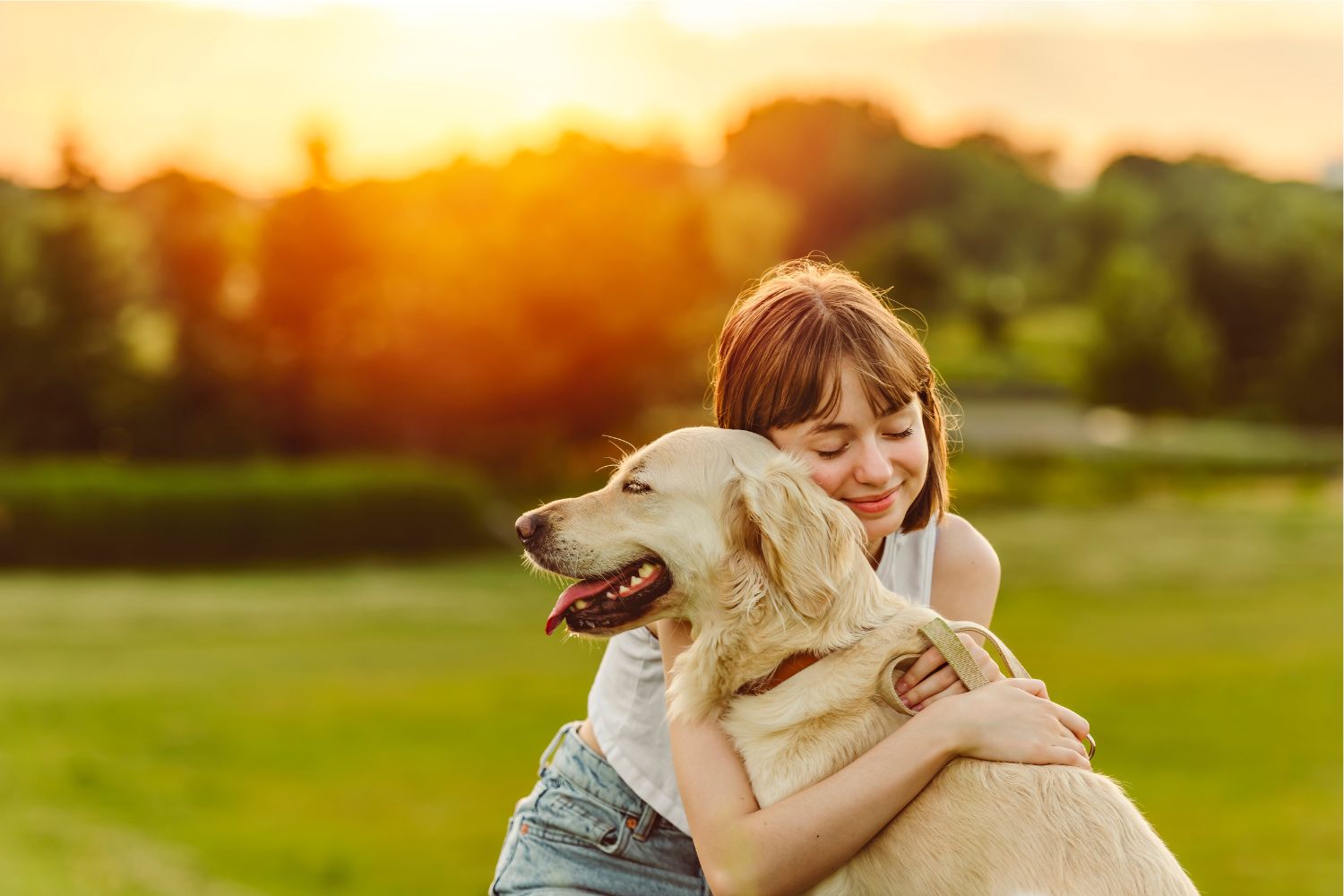 Diseño Sin Título (71)