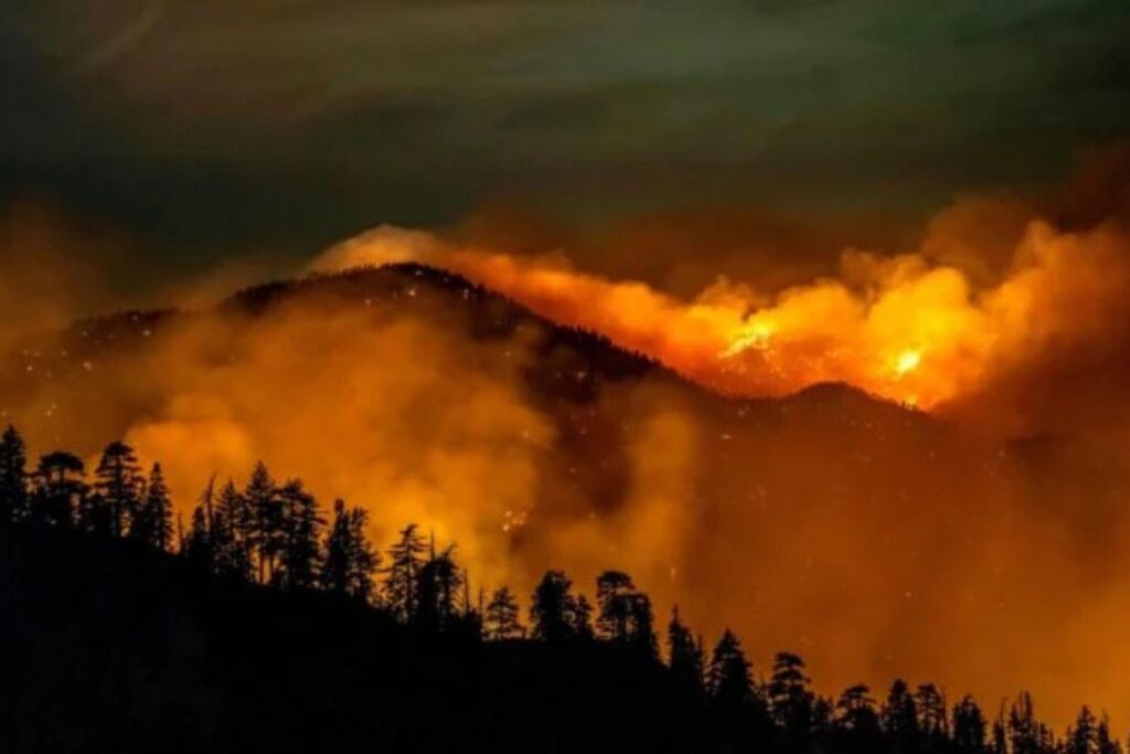 Diseño Sin Título (78)