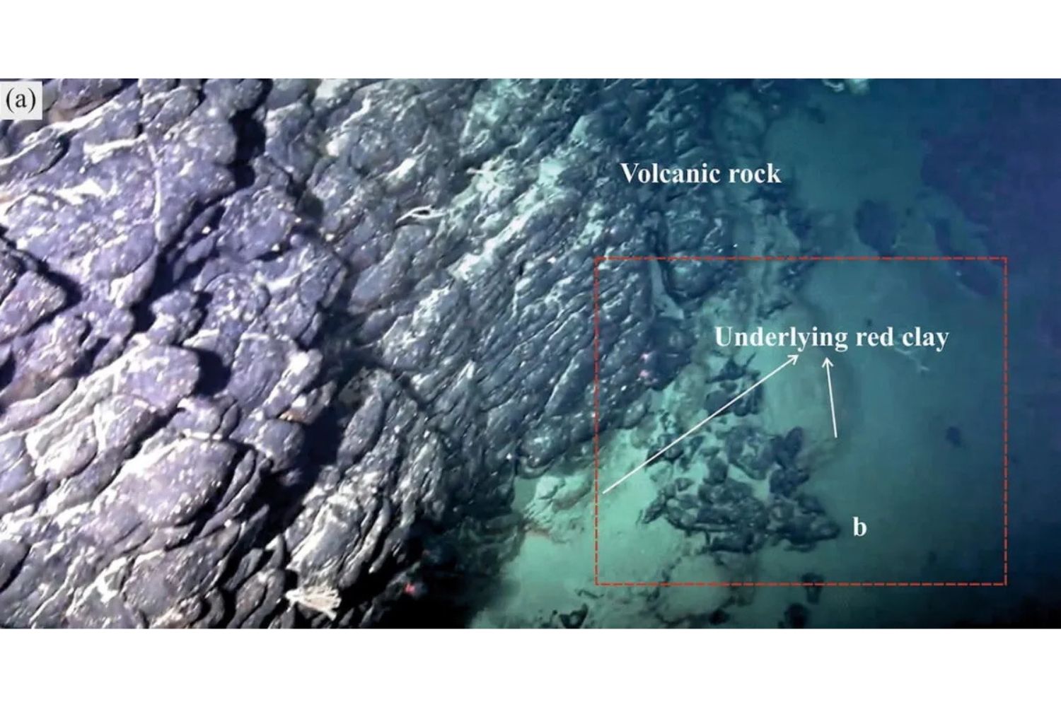 Diseño Sin Título (85)