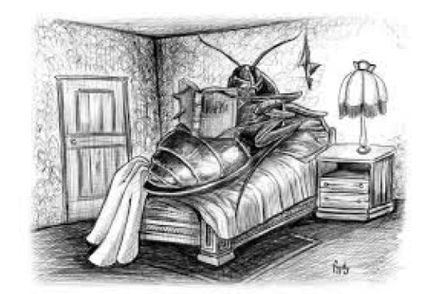 ¿Qué revela el escarabajo de Kafka sobre la mecánica cuántica?