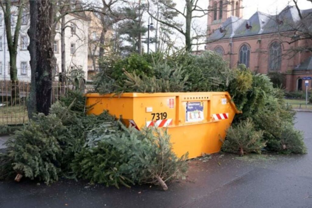 Diseño Sin Título (97)