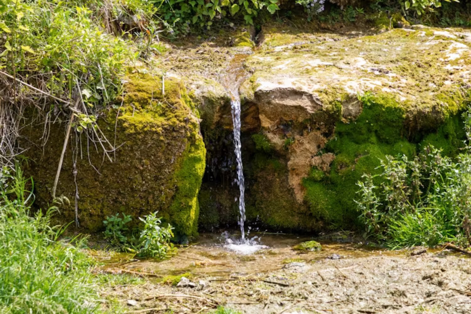 Agua Cruda