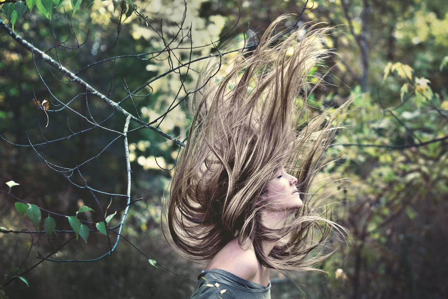 Alimentos Para El Cabello