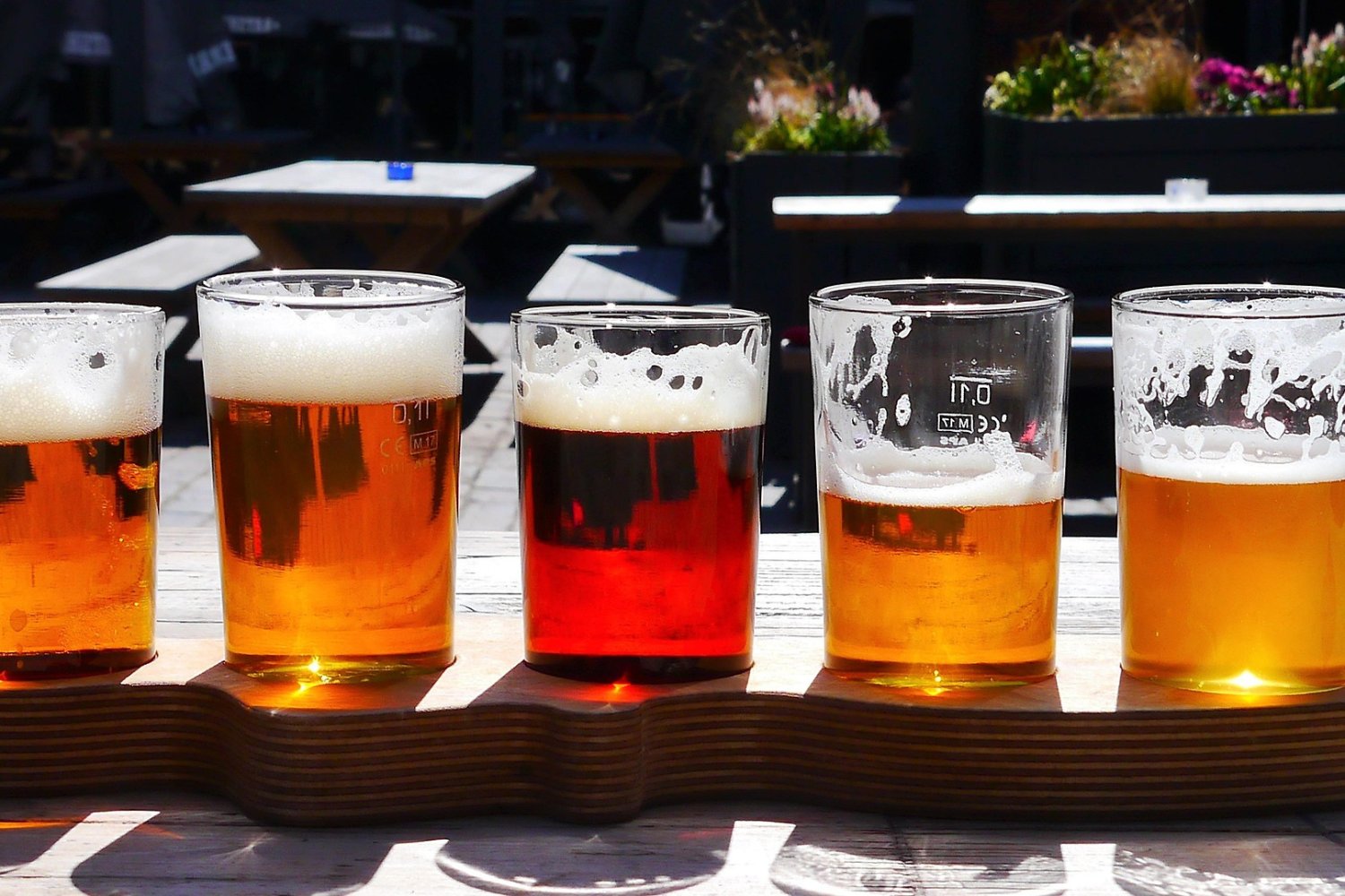Cerveza