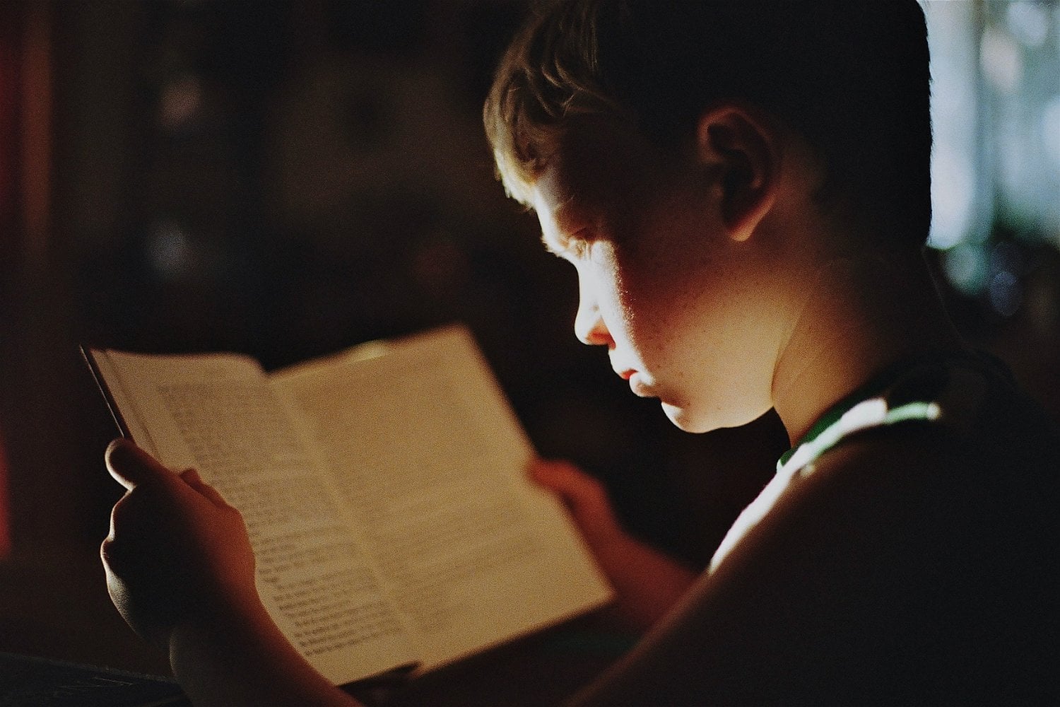 Suecia Vuelve A Los Libros