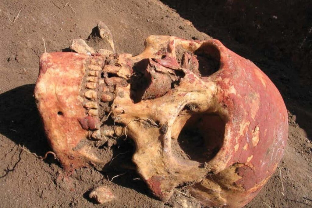 Un antiguo pueblo nómada llamado Yamna cambió la historia: ¿cómo su idioma sigue vivo hoy?