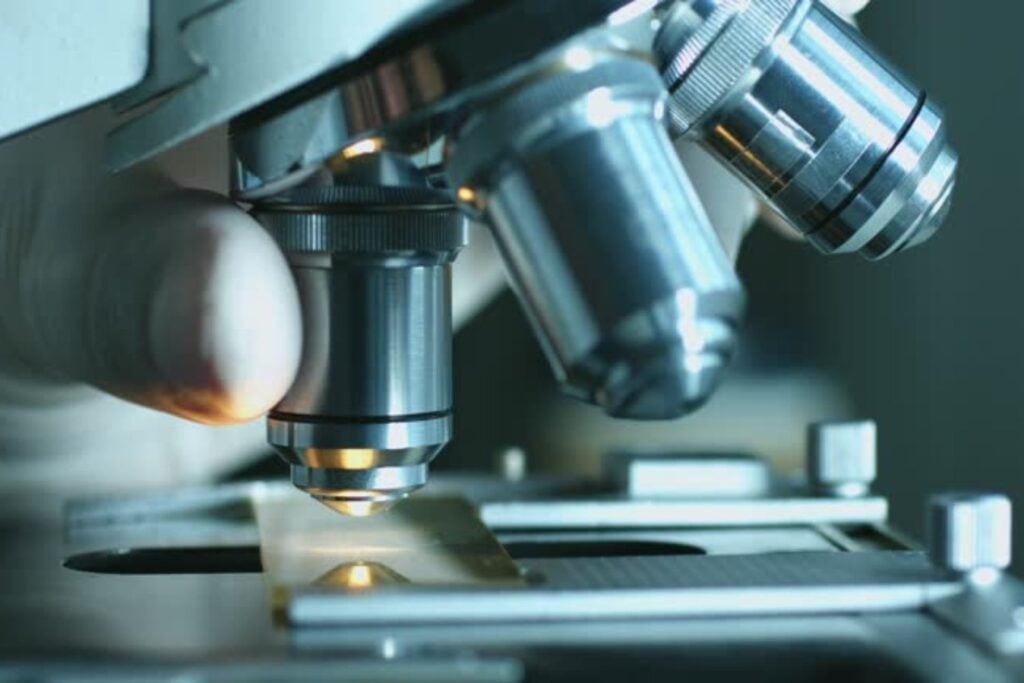 Un hallazgo microscópico que redefine nuestra comprensión de la vida
