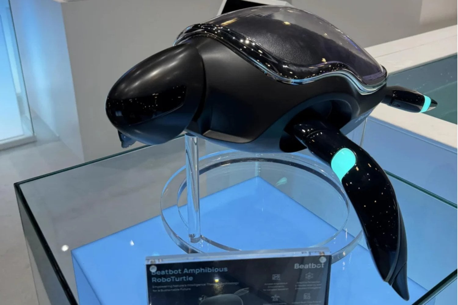 Pronto veremos criaturas inesperadas moviéndose en la arena y el agua: Tortugas robot