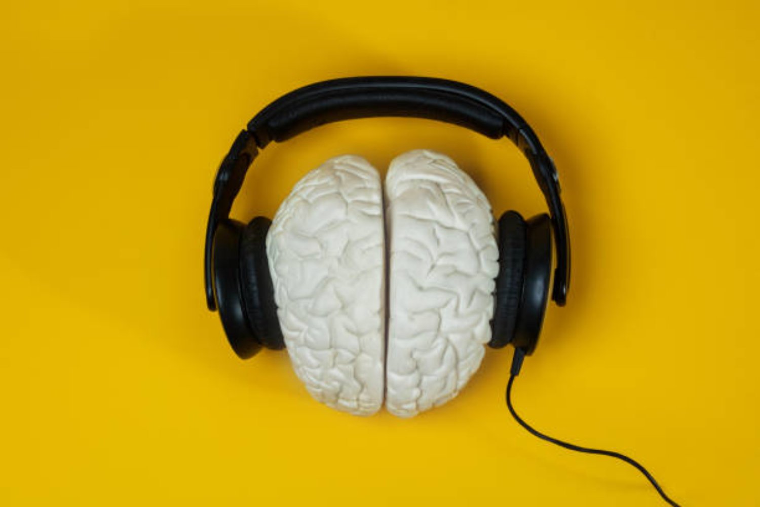 ¿Qué género musical es el más inteligente? La ciencia tiene una respuesta