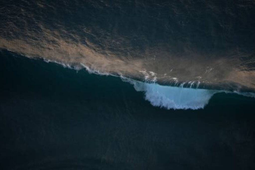 Pronto veremos criaturas inesperadas moviéndose en la arena y el agua: Tortugas robot