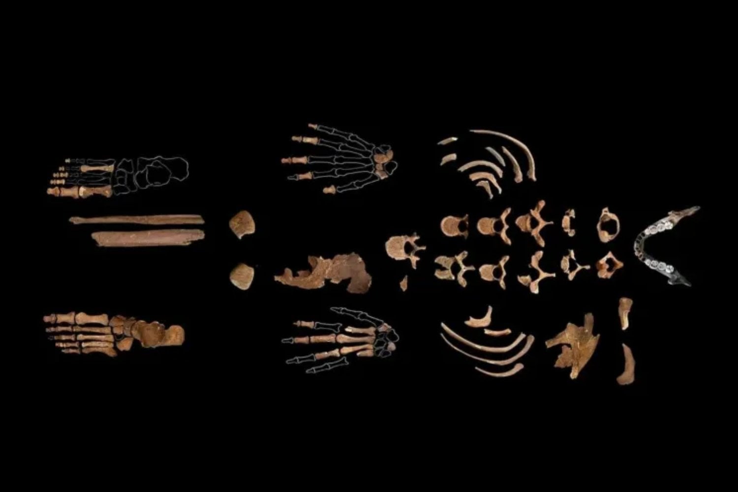 Un descubrimiento en una cueva española cambia lo que creíamos saber sobre los primeros humanos