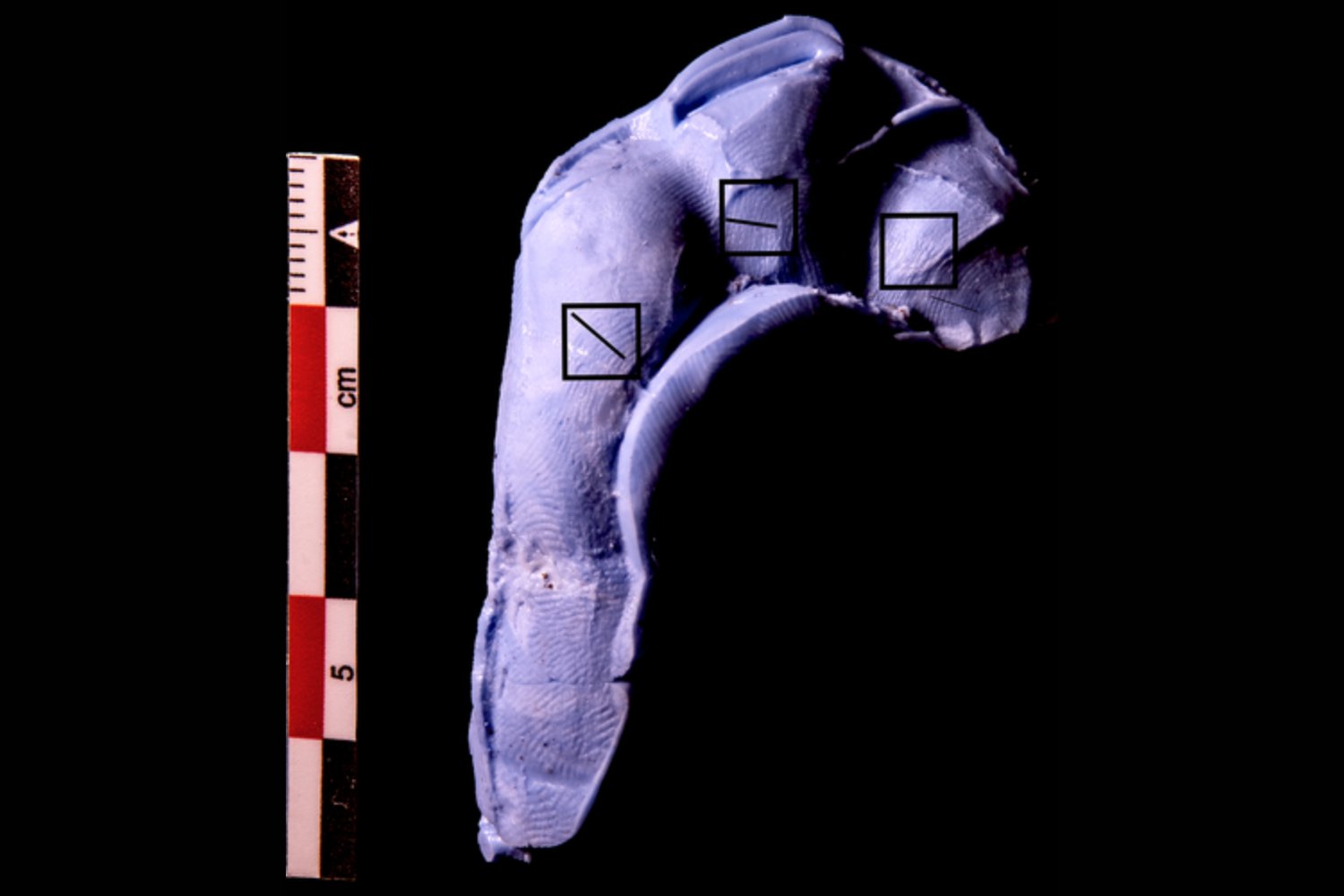 Unas huellas ocultas en la arcilla cambian todo lo que creíamos sobre la artesanía en el antiguo Egipto