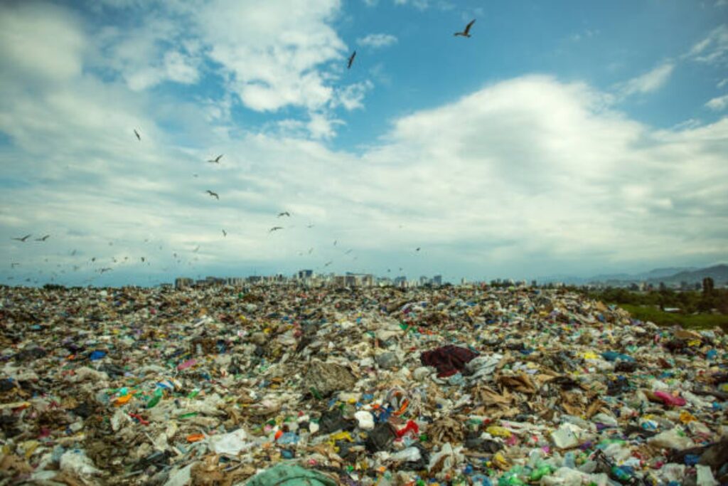 ¿Adiós a los paneles solares? Este invento usa basura para generar energía en casa