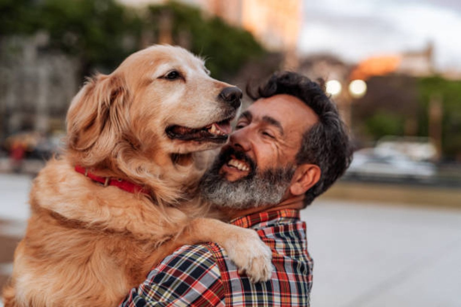 Dime cómo hablas con tu mascota y te diré quién eres realmente