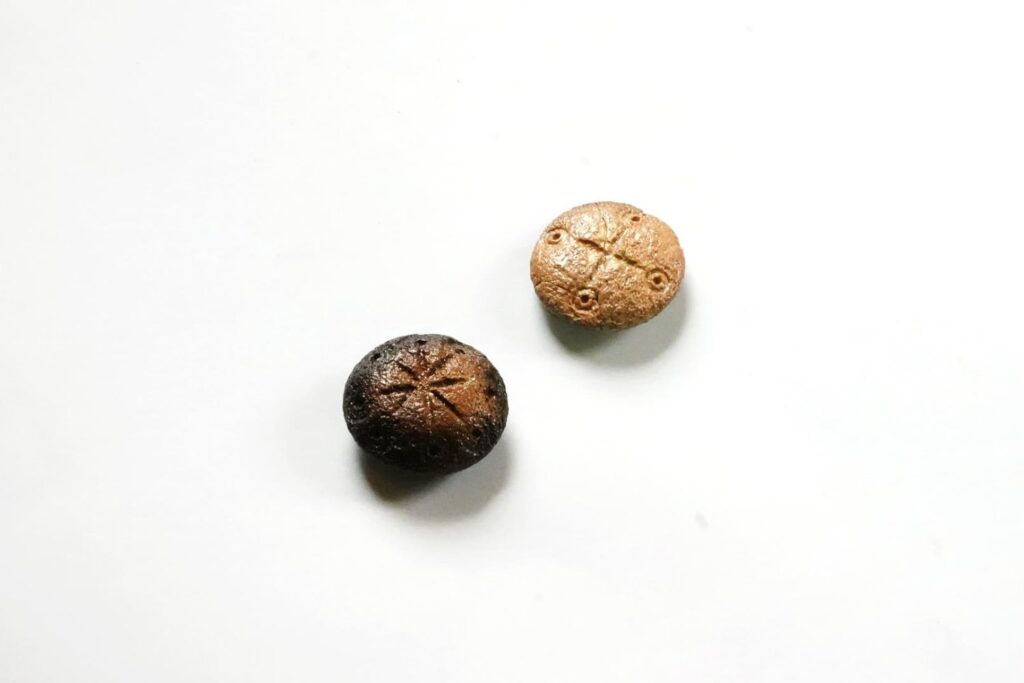 Estas piedras esconden un secreto: así se entretenían los temibles soldados del Imperio romano