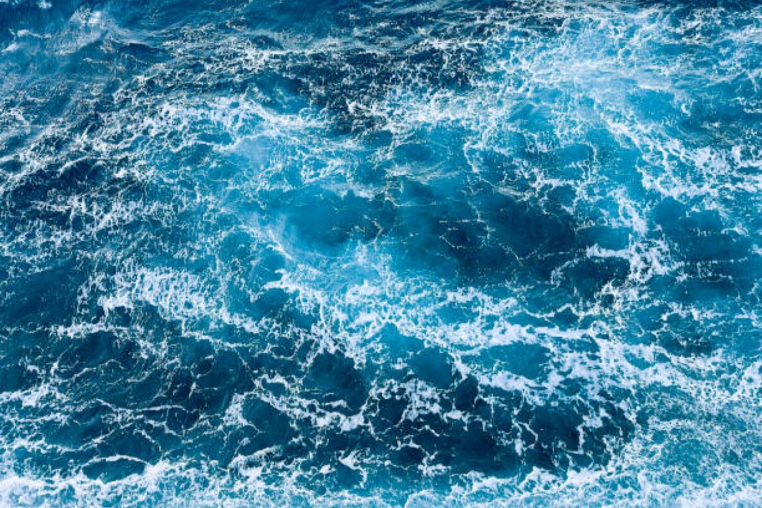 Algo se esconde bajo el océano: el descubrimiento que cambia lo que sabemos del fondo marino