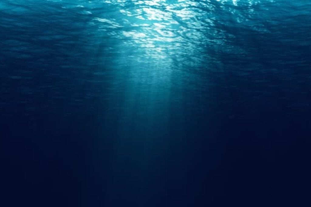 Algo se esconde bajo el océano: el descubrimiento que cambia lo que sabemos del fondo marino