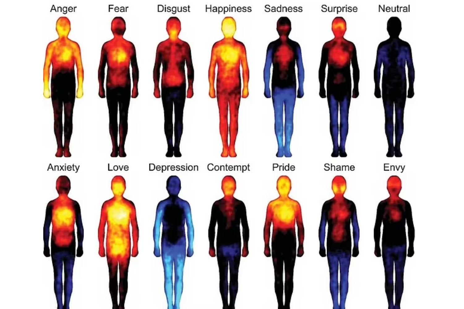 ¿Dónde se sienten realmente las emociones en el cuerpo? La ciencia lo revela