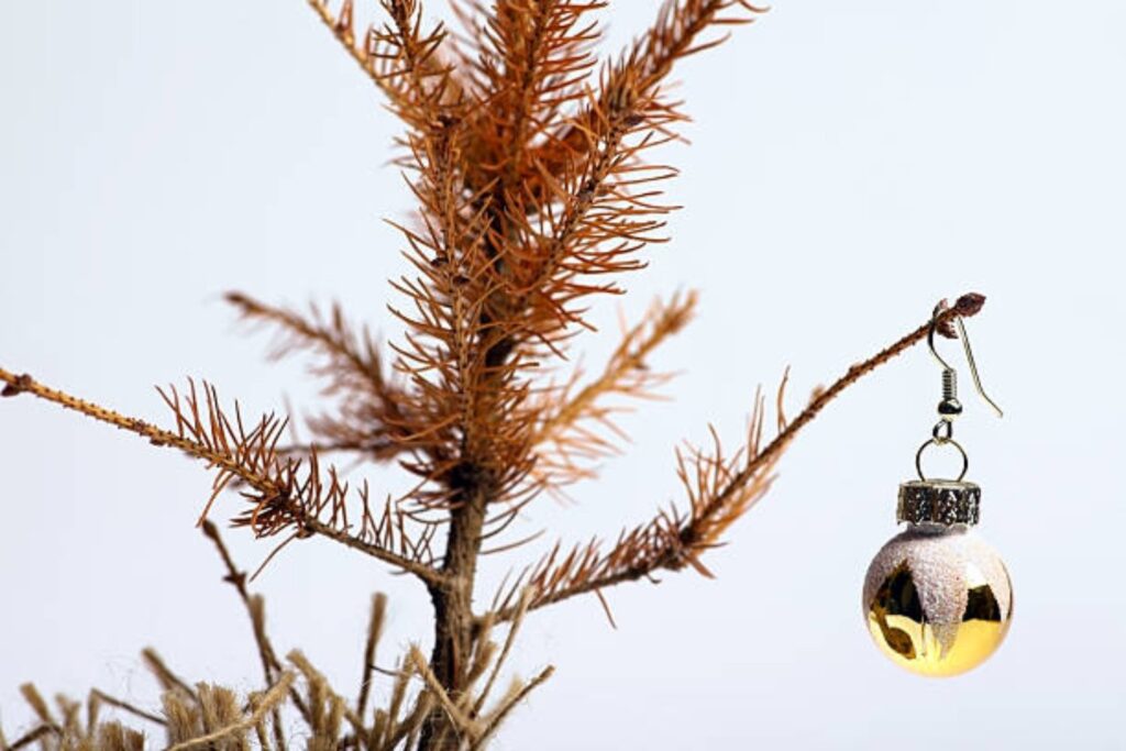 ¿Qué significa que todavía no hayas desarmado tu árbol de navidad, según la psicología?