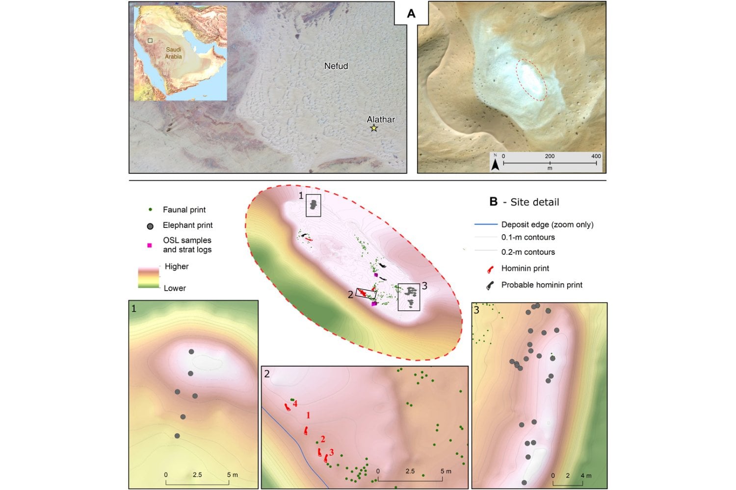 Las huellas perdidas en el desierto que podrían cambiar la historia