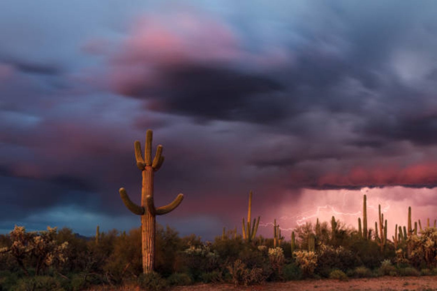 Inundaciones en los desiertos: un fenómeno que desconcierta a los científicos