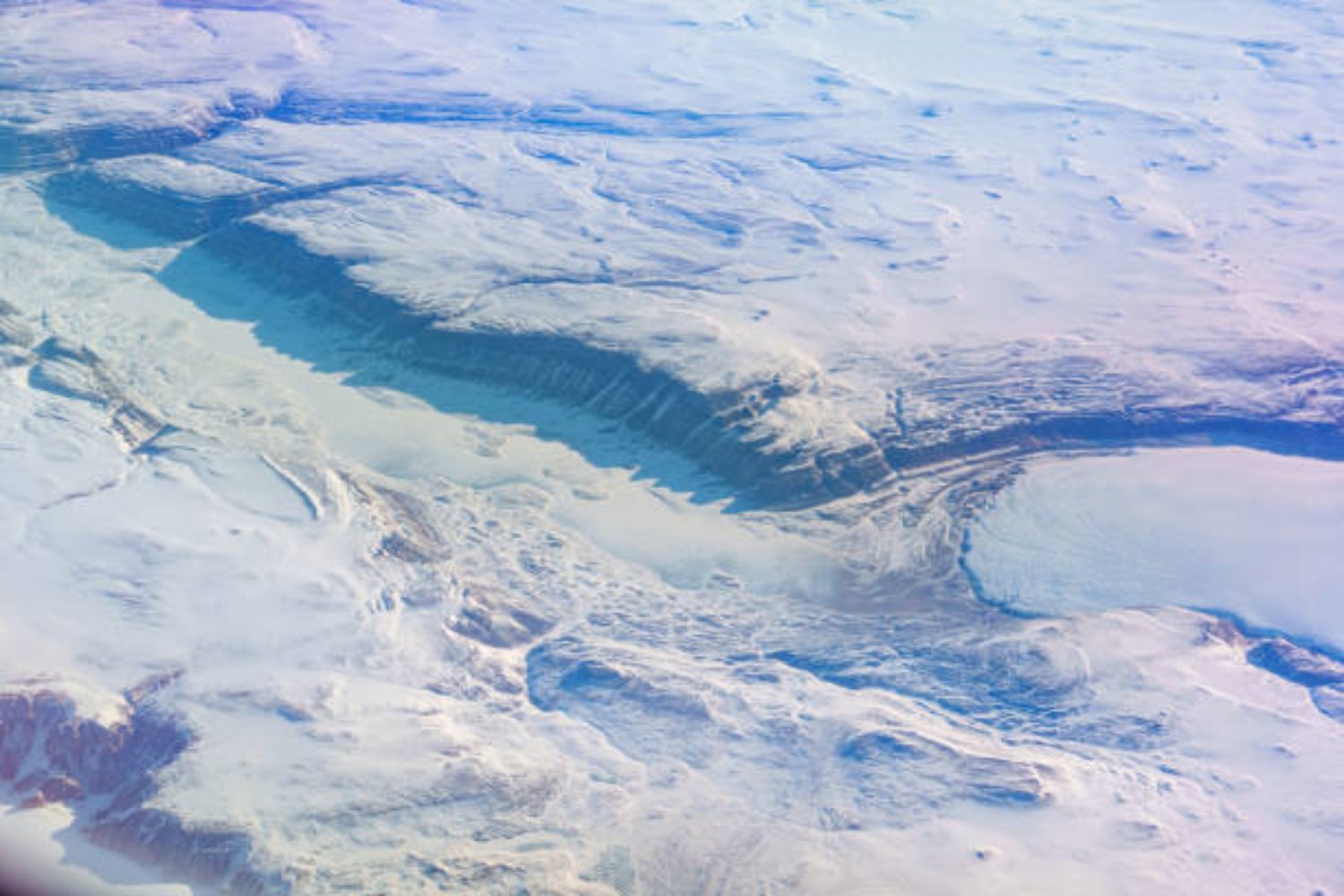 Un mundo oculto bajo el hielo: la sorprendente forma de vida hallada en la Antártida