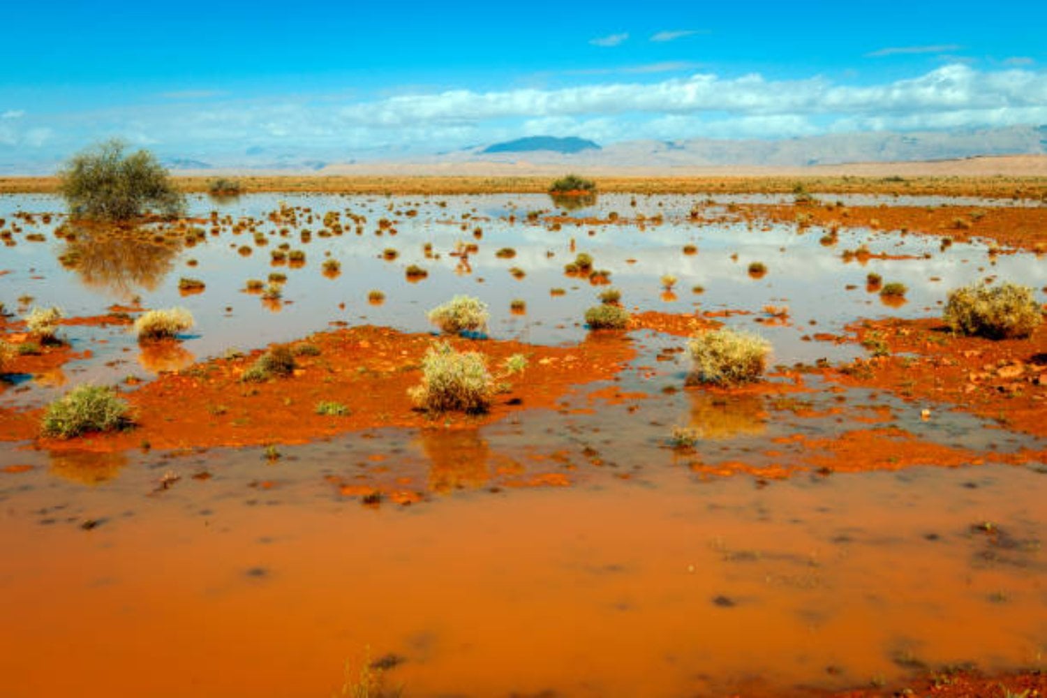 Inundaciones en los desiertos: un fenómeno que desconcierta a los científicos