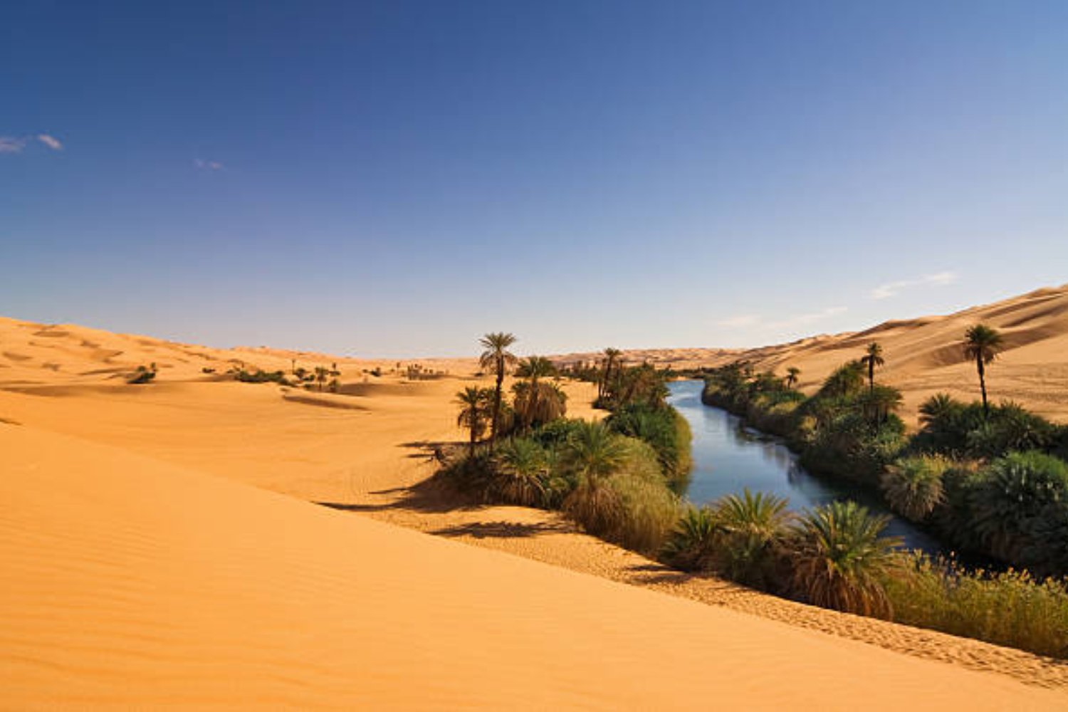 El hallazgo que podría cambiar la vida en el desierto: científicos descubren cómo obtener agua potable en zonas áridas