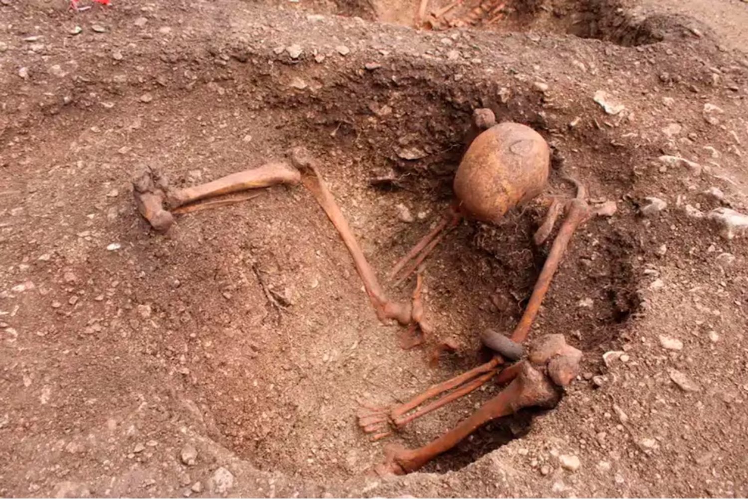 Misterioso hallazgo en Francia: esqueletos galos enterrados en una postura imposible de explicar