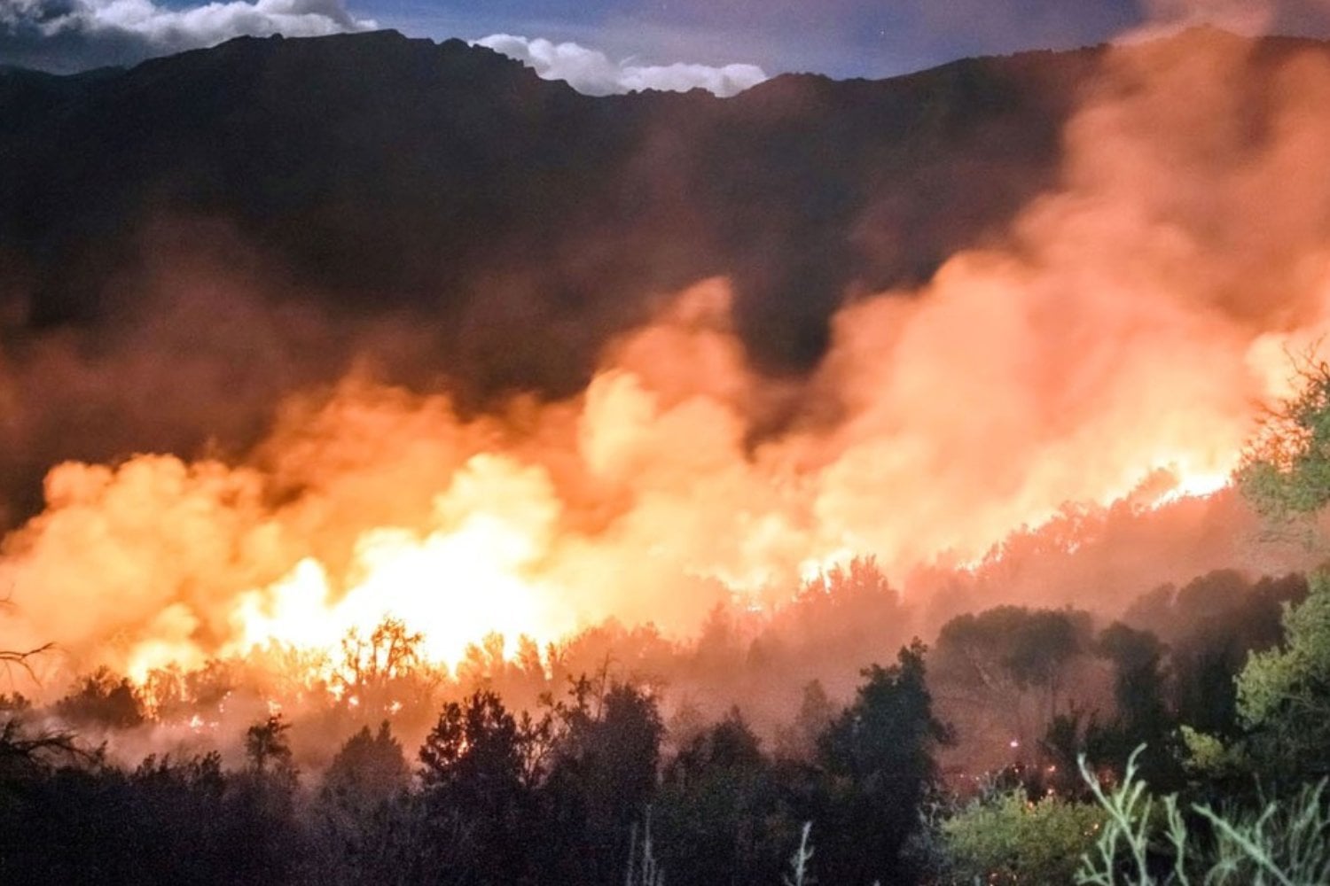 Argentina y el dramático desastre que sufre un país de América Latina: "El fuego avanza sin control y nadie hace nada para detenerlo"