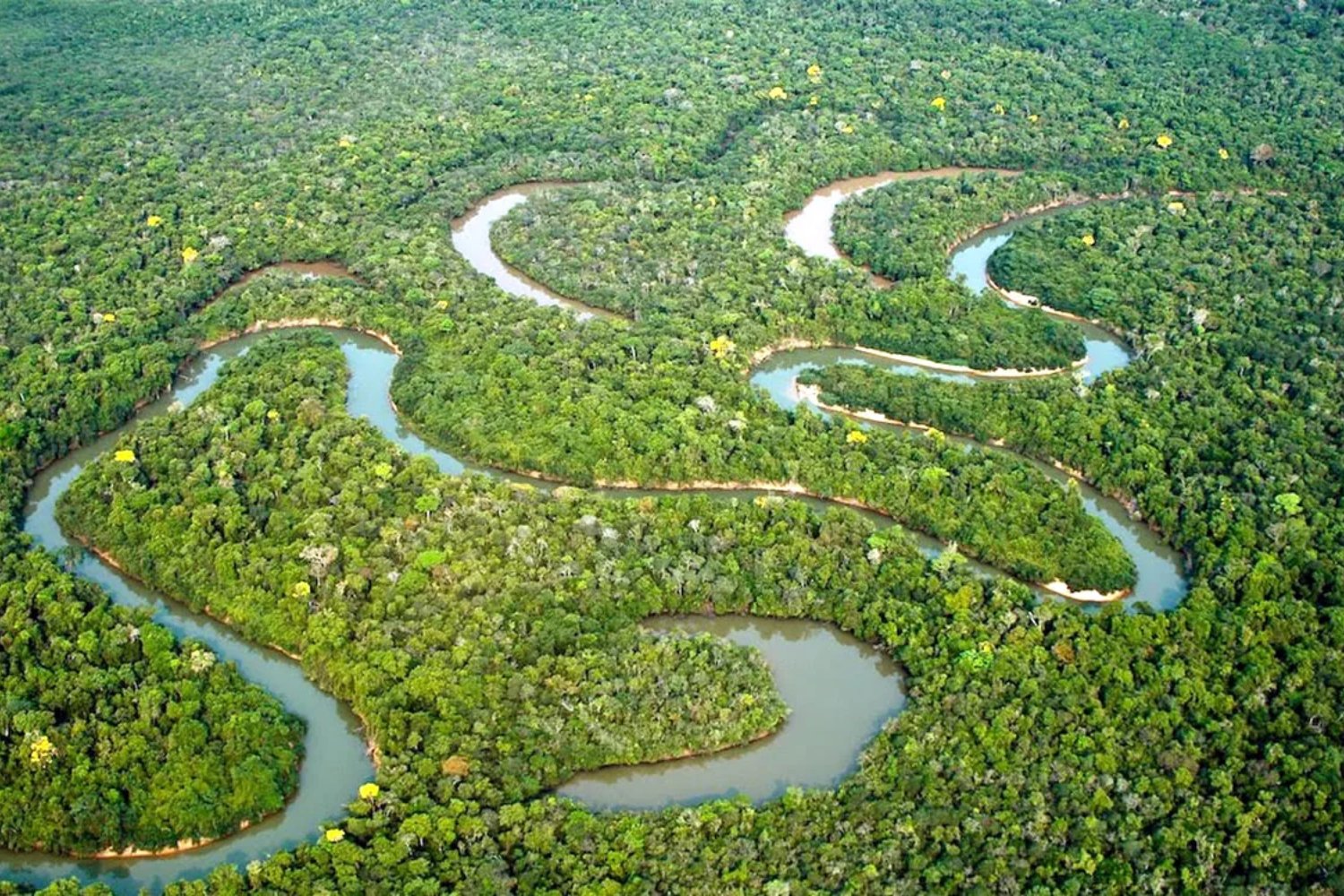 Hamza, el enigmático río oculto bajo el Amazonas que desafía la ciencia